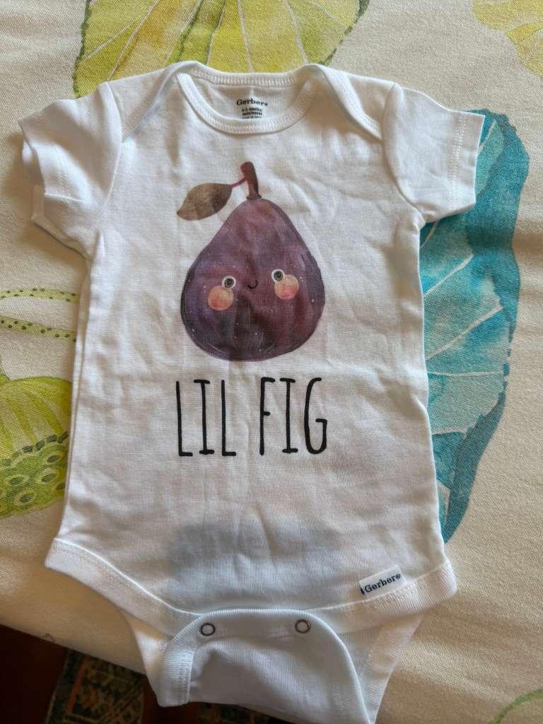 Little Fig Onesie